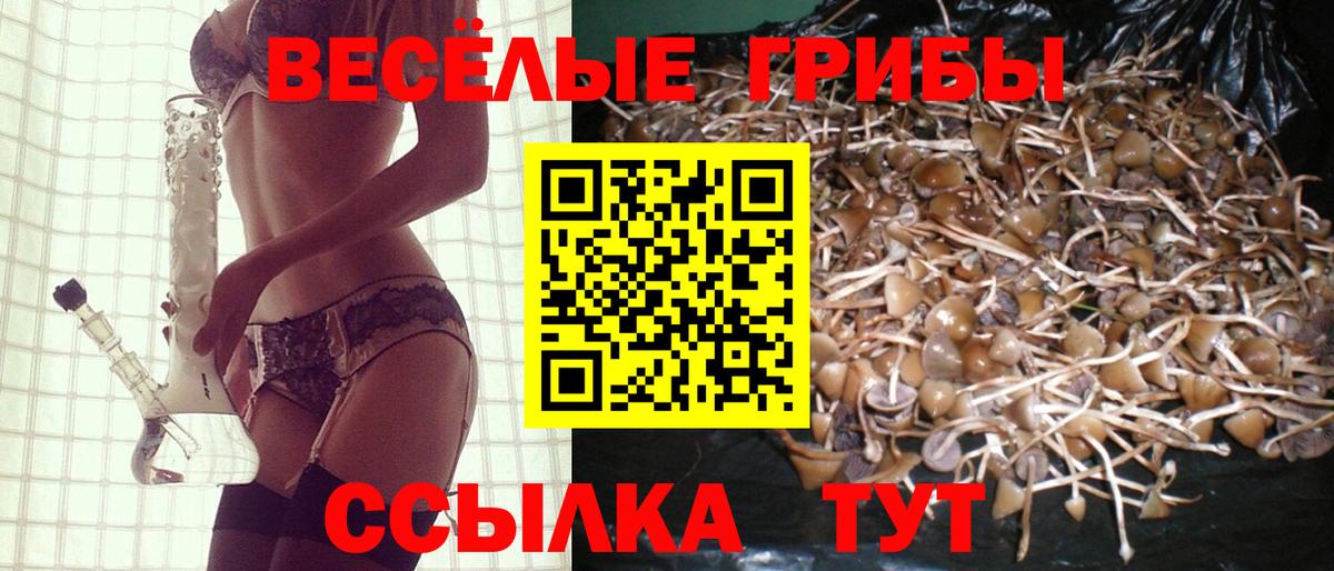 Электрогорск  Псилоцибиновые грибы MAGIC MUSHROOMS  Вход с VPN  Псилоцибиновые грибы Magic Shrooms 